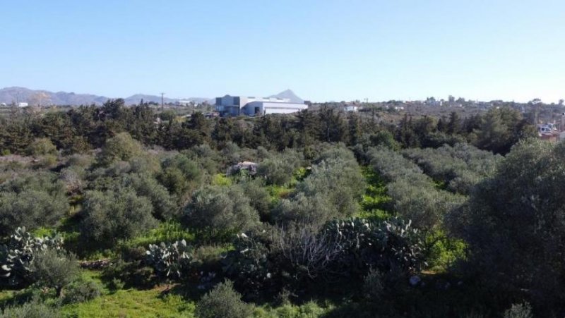 Kampani Kreta, Kampani: Ruhiges Grundstück in Akrotiri mit Bergblick zu verkaufen Grundstück kaufen